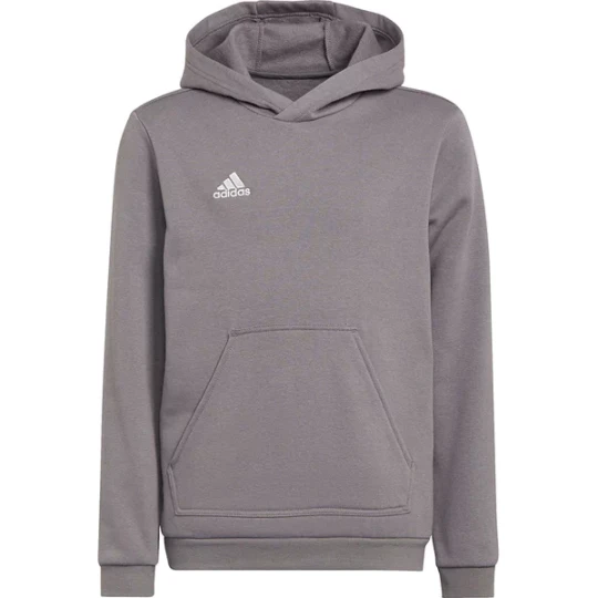 Zdjęcie produktu Bluza juniorska Entrada 22 Hoody Adidas Szary