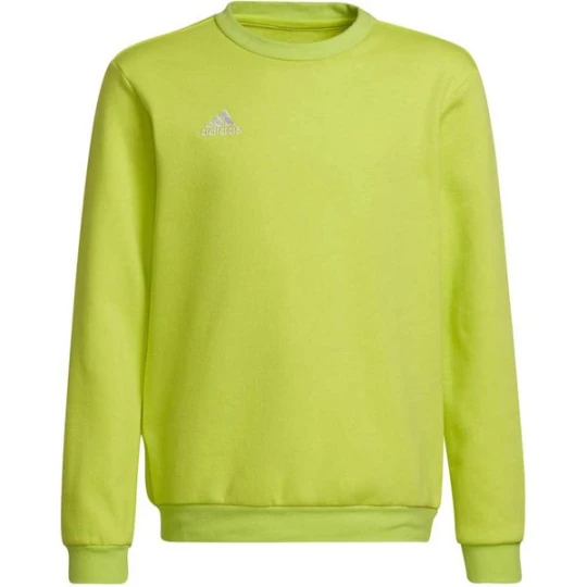 Zdjęcie produktu Bluza juniorska Entrada 22 Sweat Top Adidas Zielony