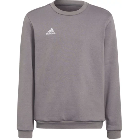 Zdjęcie produktu Bluza juniorska Entrada 22 Sweat Top Adidas Szary