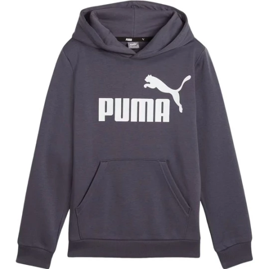 Zdjęcie produktu Bluza juniorska Essentials Big Logo Hooded Puma Szary