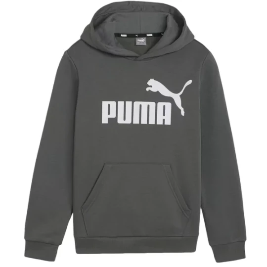 Zdjęcie produktu Bluza juniorska Essentials Big Logo Hooded Puma Szary