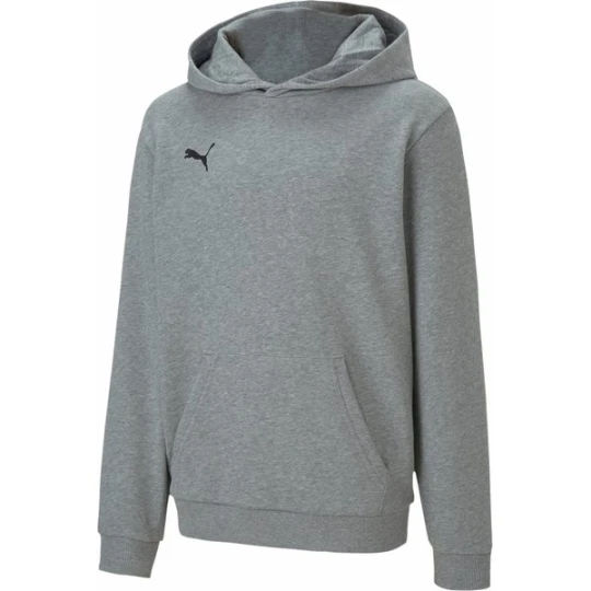 Zdjęcie produktu Bluza juniorska teamGOAL 23 Casuals Hoody Puma Szary