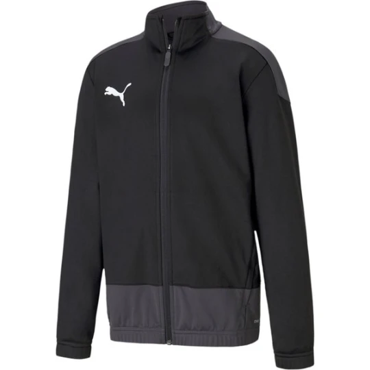 Zdjęcie produktu Bluza juniorska teamGOAL 23 Training Puma Czarny