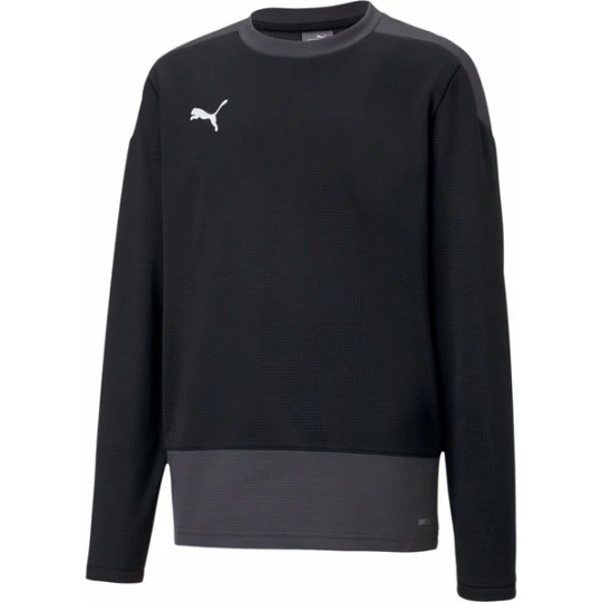 Zdjęcie produktu Bluza juniorska teamGOAL 23 Training Sweat Puma Czarny