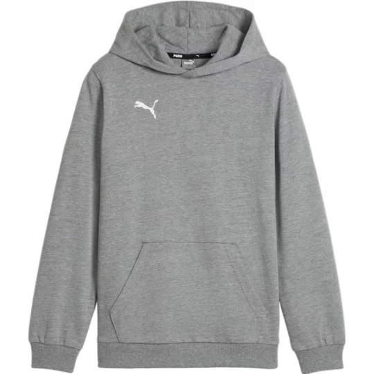 Zdjęcie produktu Bluza juniorska TeamGOAL Casuals Hoody Jr Puma Szary