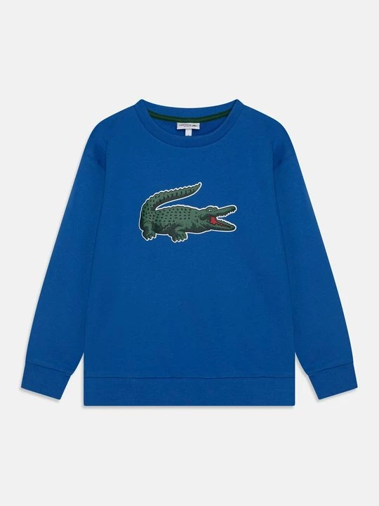 Zdjęcie produktu Bluza Lacoste niebieski