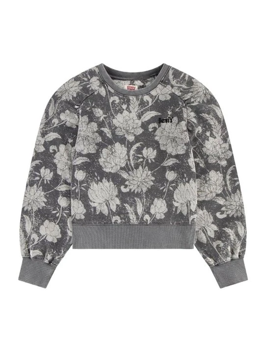 Zdjęcie produktu Bluza Levi's szary