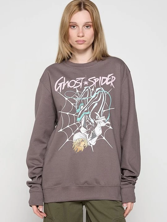 Zdjęcie produktu Bluza Marvel taupe