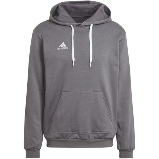 Zdjęcie produktu Bluza męska Entrada 22 Hoodie Adidas Szary