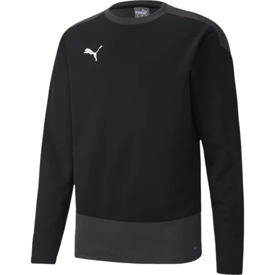 Zdjęcie produktu Bluza męska teamGOAL 23 Training Sweat Puma Czarny