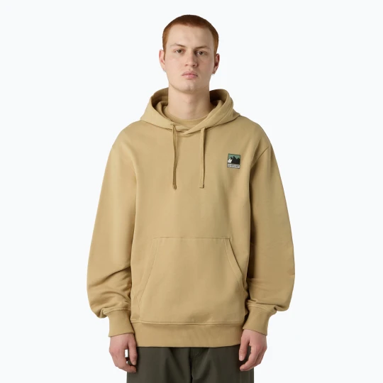 Zdjęcie produktu Bluza męska The North Face Mountain Logo Relaxed Hooded khaki stone Beżowy