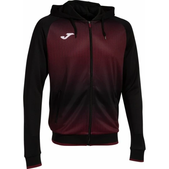 Zdjęcie produktu Bluza męska Tiger V Zip-Up Hoodie Joma