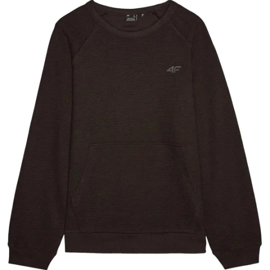 Zdjęcie produktu Bluza męska TSWSM1312 4F Brązowy