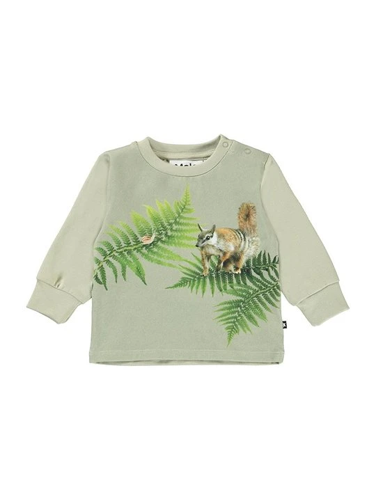 Zdjęcie produktu Bluza Molo oliwkowy