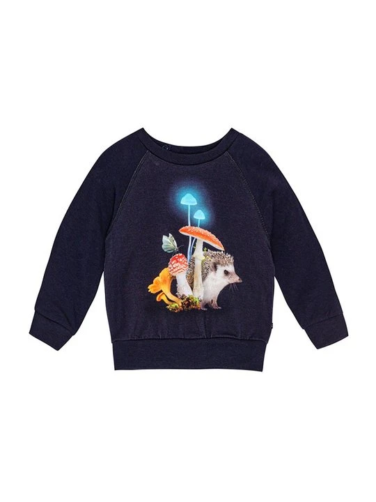 Zdjęcie produktu Bluza Molo granatowy