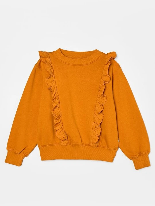 Zdjęcie produktu Bluza Molo ochra