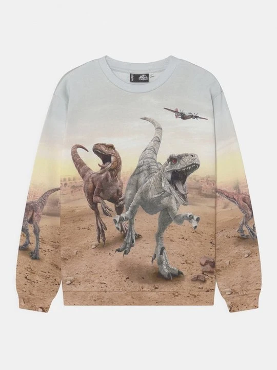 Zdjęcie produktu Bluza Molo brązowy