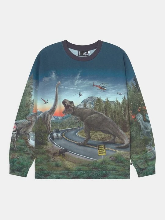 Zdjęcie produktu Bluza Molo zielony
