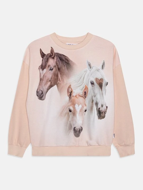 Zdjęcie produktu Bluza Molo jasnoróżowy