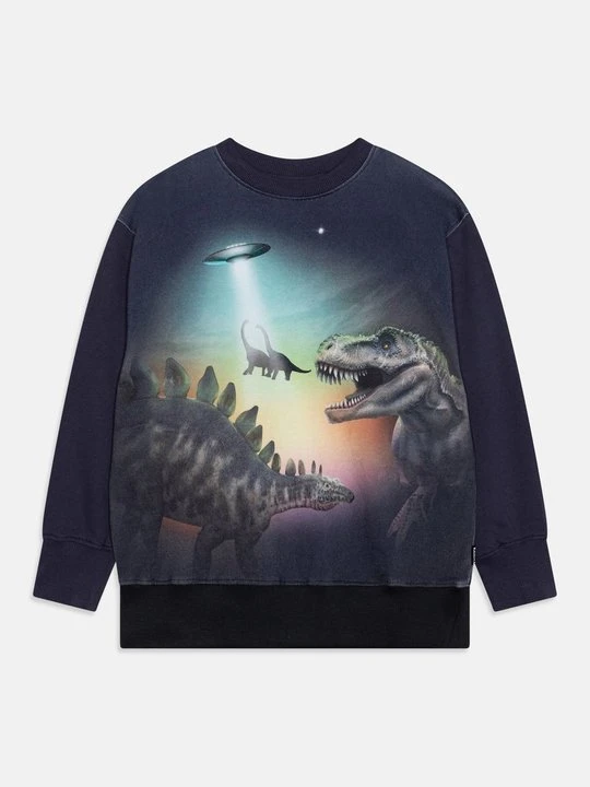 Zdjęcie produktu Bluza Molo granatowy