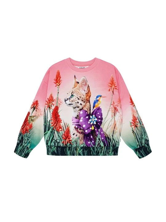 Zdjęcie produktu Bluza Molo zielony