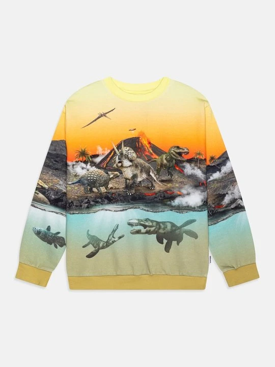 Zdjęcie produktu Bluza Molo