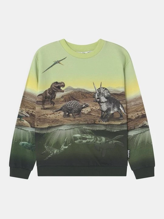 Zdjęcie produktu Bluza Molo zielony