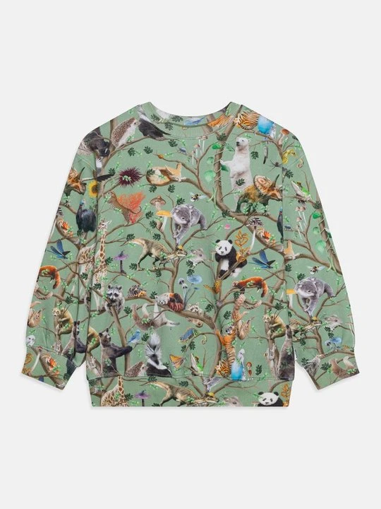 Zdjęcie produktu Bluza Molo zielony melanż