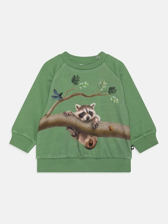 Zdjęcie produktu Bluza Molo zielony