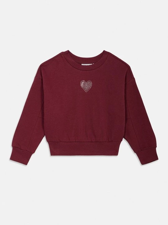 Zdjęcie produktu Bluza NAME IT bordowy