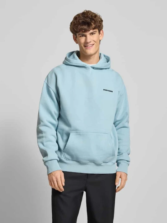 Zdjęcie produktu Bluza o kroju oversized z kapturem, logo i kieszenią kangurką Pegador Jasnoniebieski