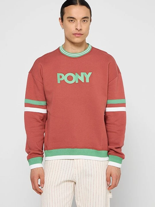 Zdjęcie produktu Bluza Pony brązowy