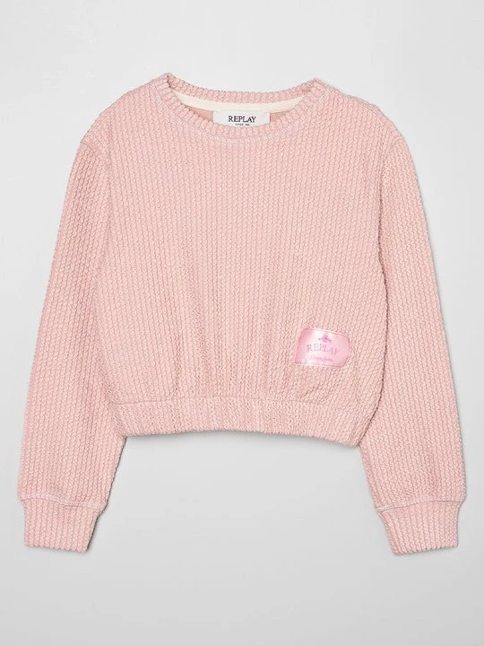 Zdjęcie produktu Bluza Replay różowy