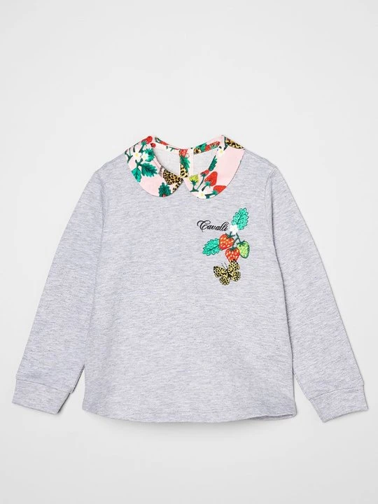 Zdjęcie produktu Bluza Roberto Cavalli szary
