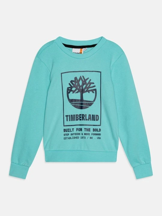 Zdjęcie produktu Bluza Timberland turkusowy
