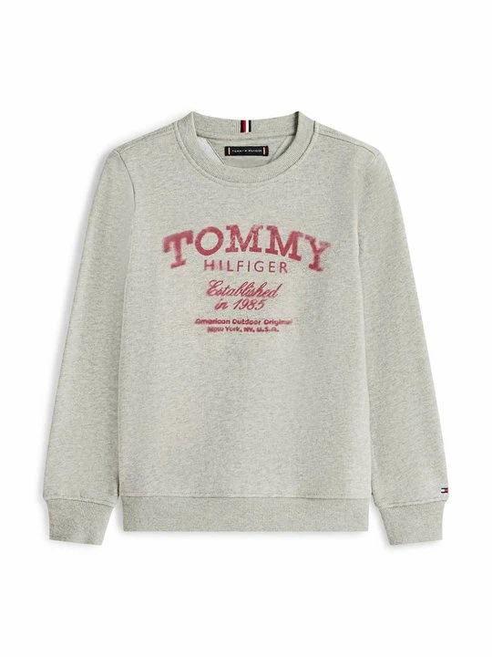 Zdjęcie produktu Bluza Tommy Hilfiger szary