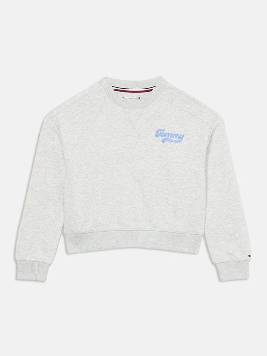 Zdjęcie produktu Bluza Tommy Hilfiger szary