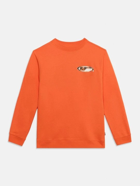 Zdjęcie produktu Bluza Vans czerwony