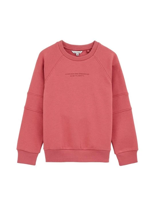 Zdjęcie produktu Bluza WE Fashion łososiowy