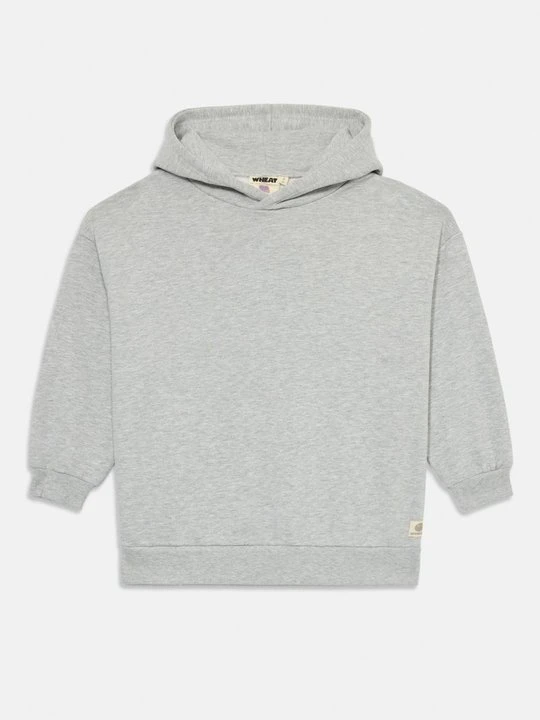 Zdjęcie produktu Bluza Wheat szary
