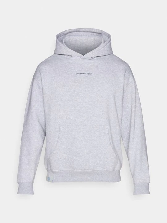 Zdjęcie produktu Bluza z kapturem Legacies szary