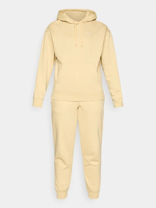 Zdjęcie produktu Bluza z kapturem Puma beżowy