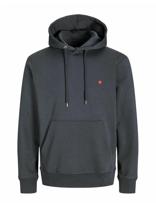 Zdjęcie produktu Bluza z kapturem R.D.D. ROYAL DENIM DIVISION szary