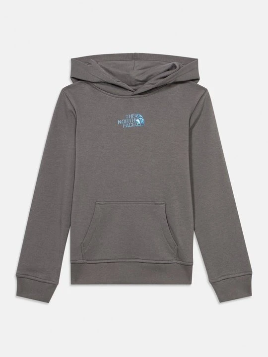 Zdjęcie produktu Bluza z kapturem The North Face szary