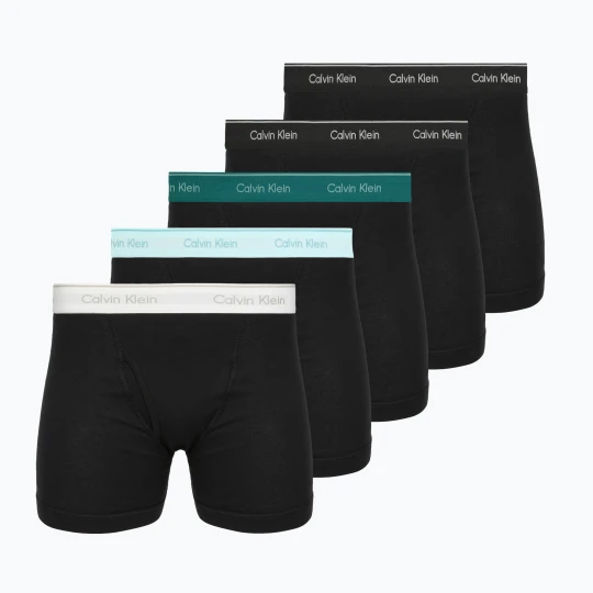 Zdjęcie produktu Bokserki Calvin Klein LV00NB1429 Boxer Brief 5 par Black Bodies w / black / niagara falls