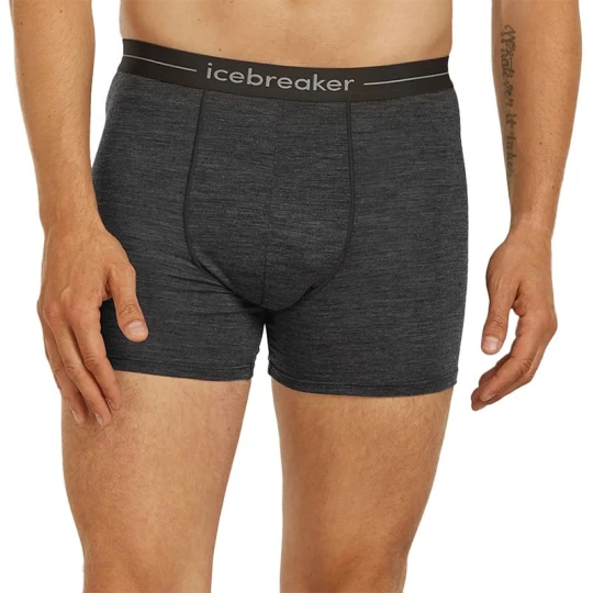 Zdjęcie produktu Bokserki Icebreaker Anatomica Boxers 1030290111 - szare