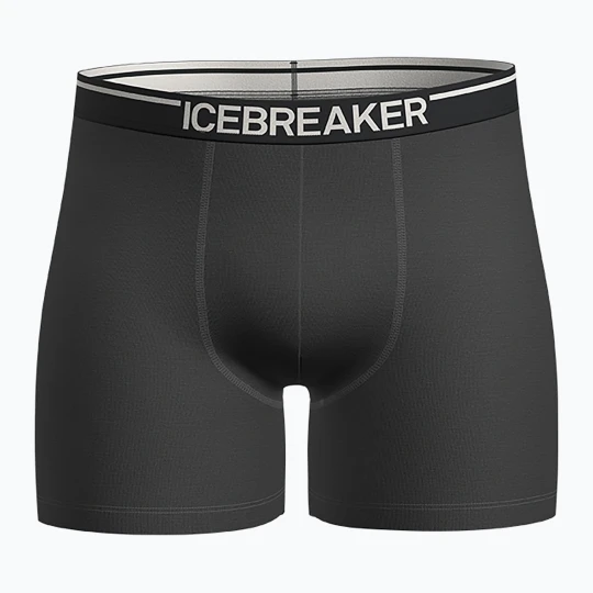 Zdjęcie produktu Bokserki termoaktywne męskie icebreaker Anatomica plume jet heather Szary