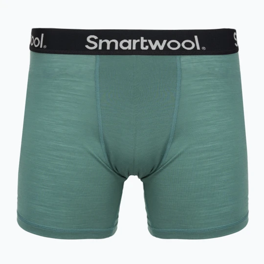Zdjęcie produktu Bokserki termoaktywne męskie Smartwool Everyday Merino Boxer Brief Boxed black dusty teal Zielony
