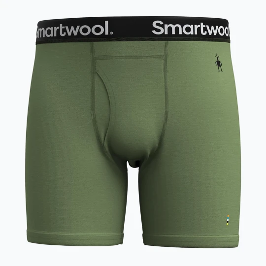 Zdjęcie produktu Bokserki termoaktywne męskie Smartwool Merino Boxer Brief Boxed fern green