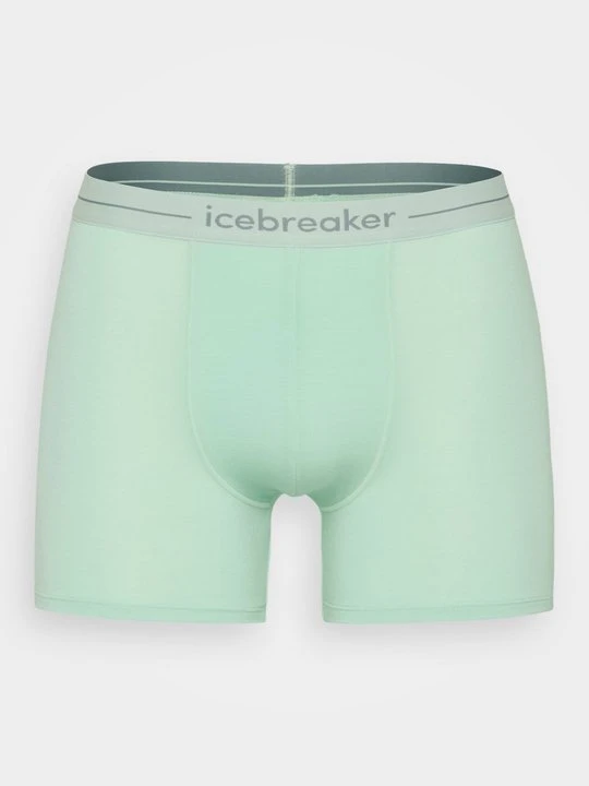 Zdjęcie produktu Bokserki z długimi nogawkami Icebreaker zielony